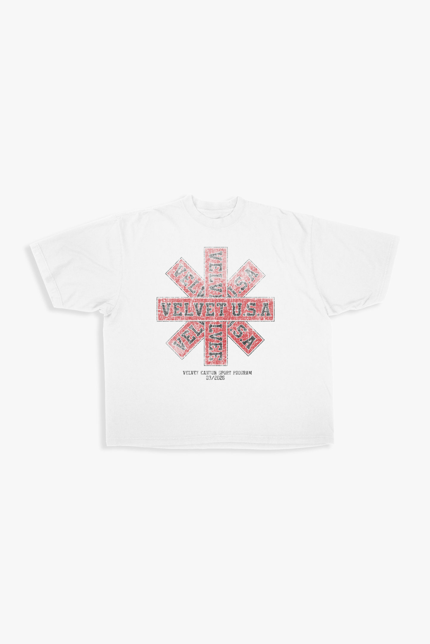 USA SPORTS TEE